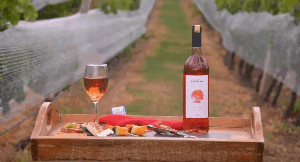 Wine Tasting at Naivasha Vineyards