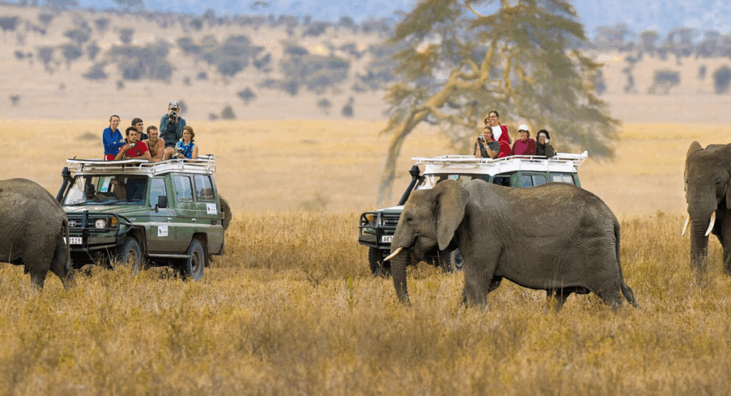 Dating Ideas in Tanzania