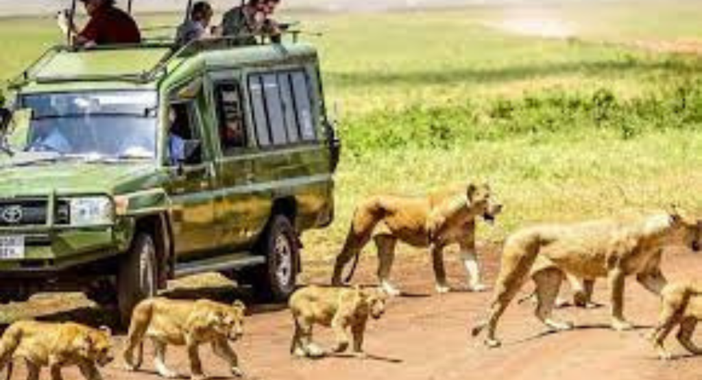 Tanzania activities for couples