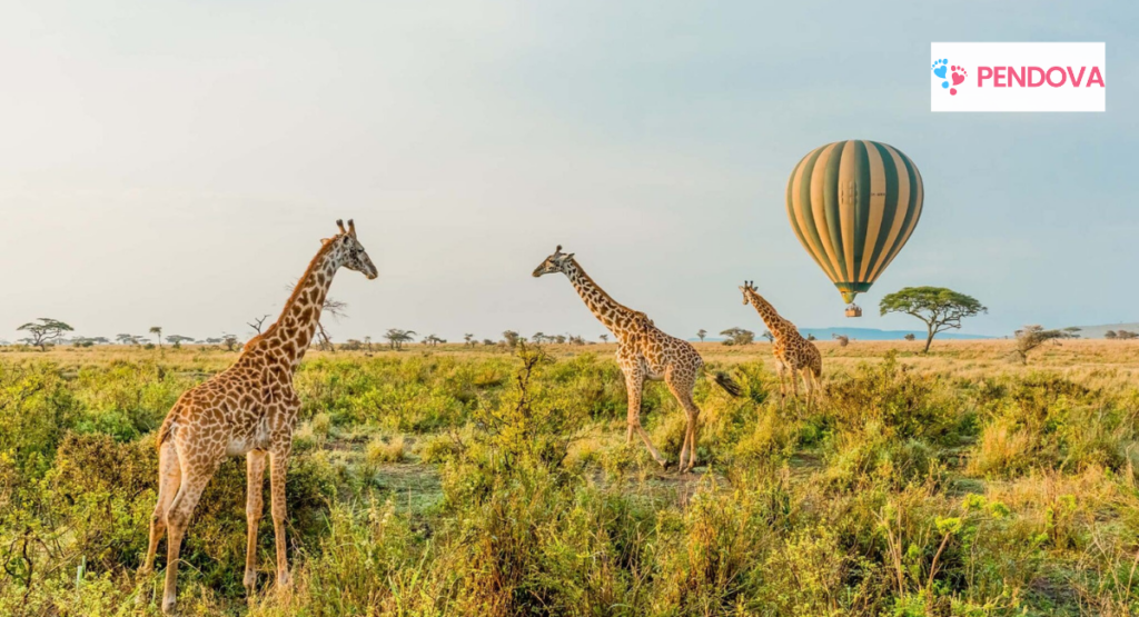 Things to do on a date in Tanzania
