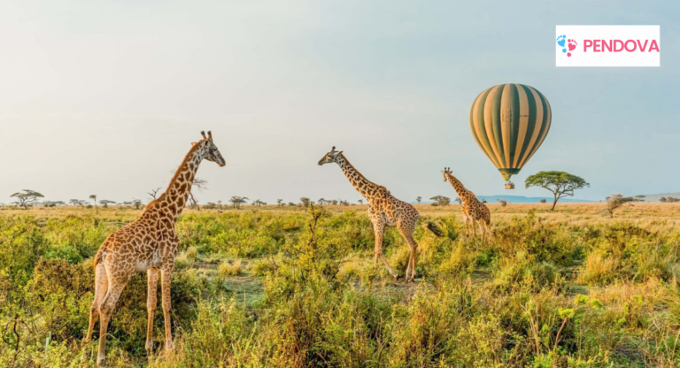 Things to do on a date in Tanzania