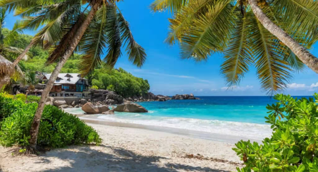 Beach Date Ideas in Tanzania