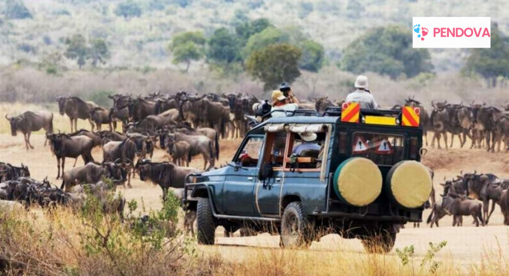 Adventurous Dating Spots in Tanzania