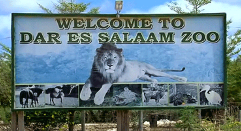 Vacation for couples in Tanzania