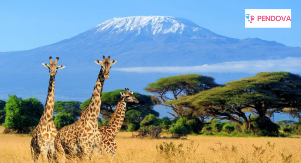 Holidays for couples in Tanzania
