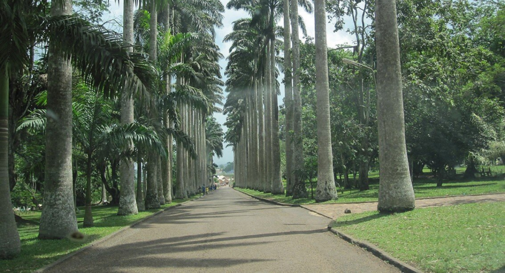 Aburi Botanical Gardens