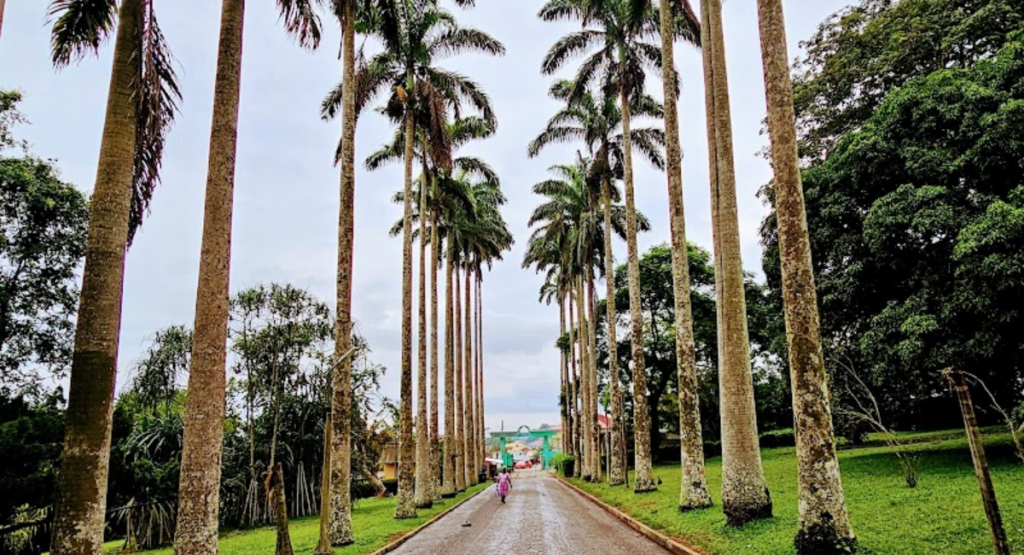 Aburi Botanical Gardens