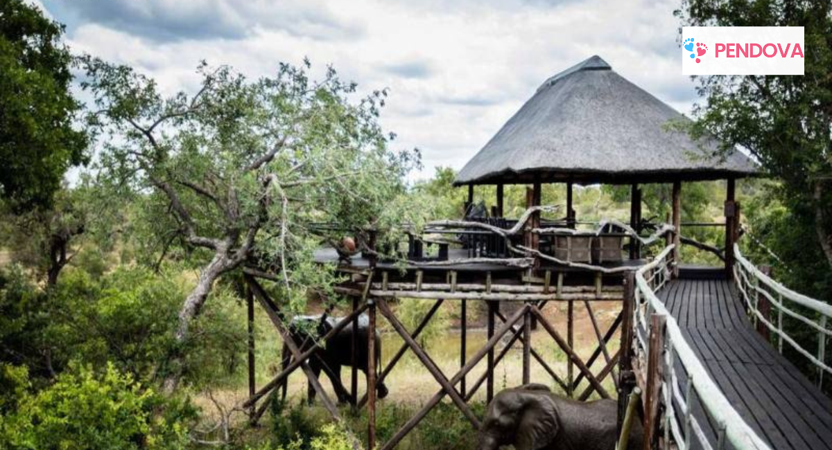 Hangout spots in South Africa